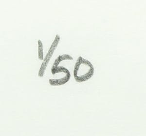 Ed van Doorn - Zeefdruk, The face of the Netherlands - Ingelijst kopen? Bied vanaf 40!