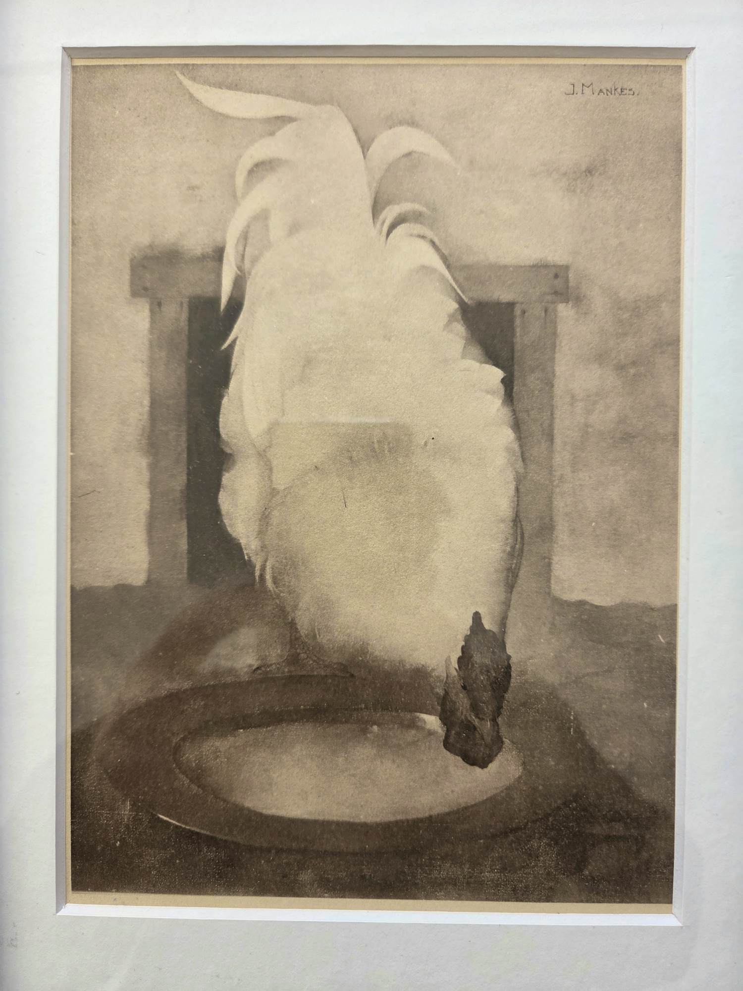 Jan Mankes - Zilverwynandotte. Haan. Ingelijst. kopen? Bied vanaf 129!