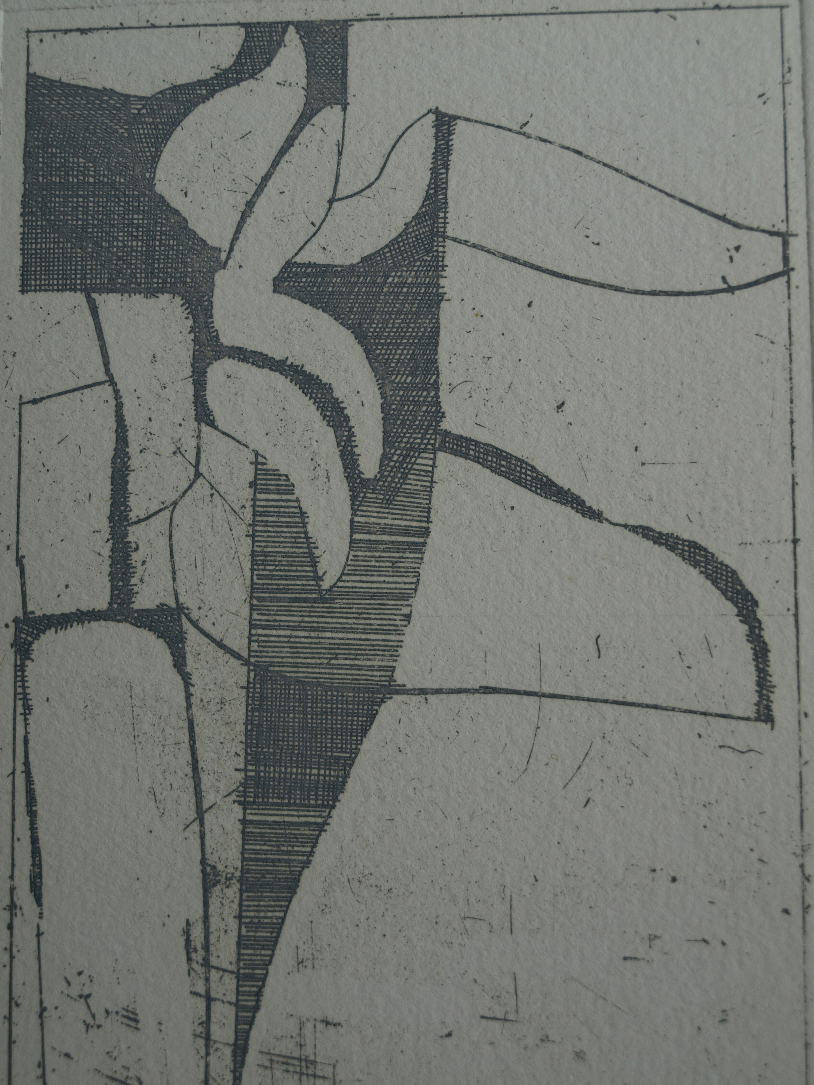 Jan de Hamer - Ets, Palm – gesigneerd – ca 1975 kopen? Bied vanaf 1!