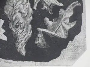 Ko Prange - Bijzondere vegetatie - Ets kopen? Bied vanaf 45!