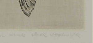 Dick Stolwijk - Ets, Motvlinder - Ingelijst kopen? Bied vanaf 35!