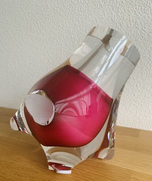 Menno Jonker - Longkracht kopen? Bied vanaf 200!