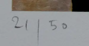 Willi Kissmer - giclee: zwarte serie nr 14 - 2015 kopen? Bied vanaf 125!