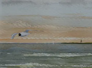 Franklin Meijer - Waddenzee met Griend en kokmeeuw kopen? Bied vanaf 25!