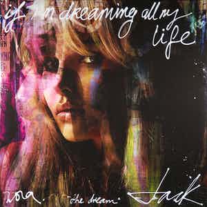 Jack Liemburg - Gemengde techniek op doek, If I am dreaming all my life (Zeer groot) verkocht voor € 500!