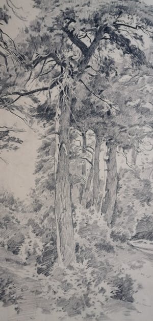 Adrianus Miolee - Duinlandschap met dennen kopen? Bied vanaf 45!