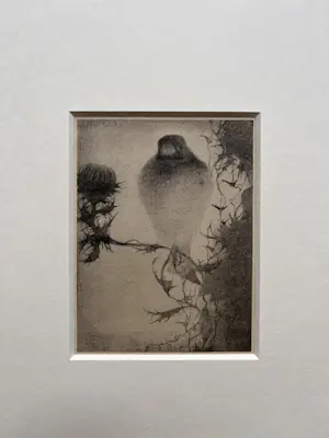 Jan Mankes - Originele Heliogravure Puttertje op Tak 1923 kopen? Bied vanaf 135!