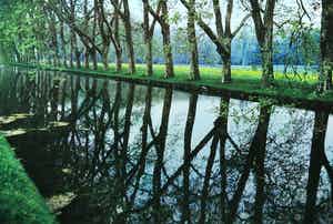 Paul Huf - Foto, Zonder titel - Ingelijst verkocht voor € 1!