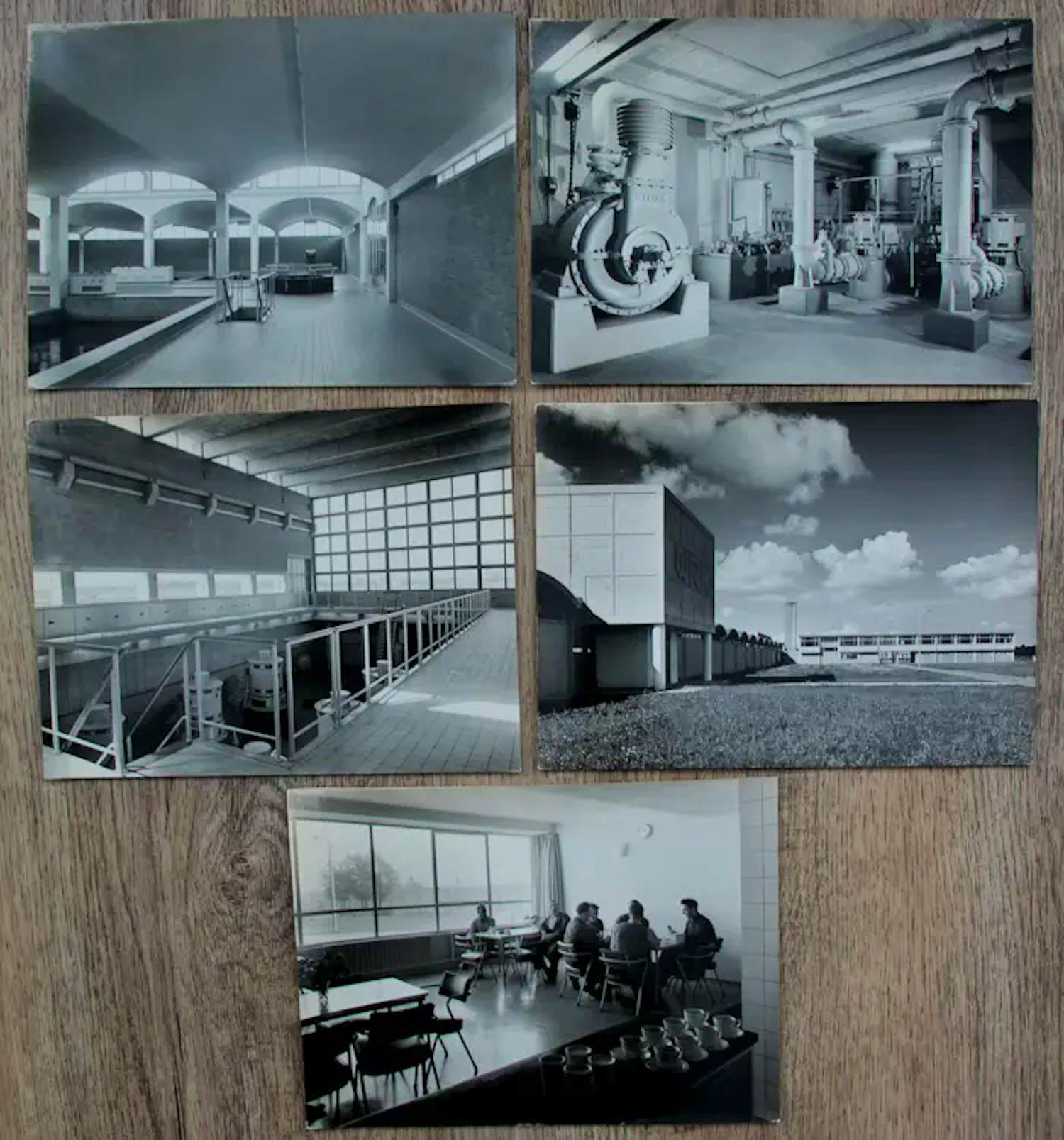 Jan Versnel - 5 foto's verkocht voor € 100!