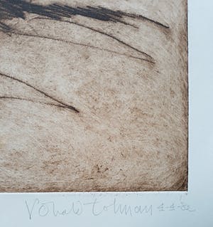 Ronald Tolman - Stervende hond, zeer zeldzame aquatint ets kopen? Bied vanaf 250!