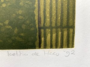 Laetitia de Haas - kleurenets - 'Huisje in Zwolle (vanaf Wilhelminasingel) - 1992 kopen? Bied vanaf 75!