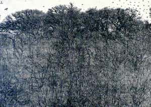 Rudolf Bremmer - Houtsnede verkocht voor € 45!