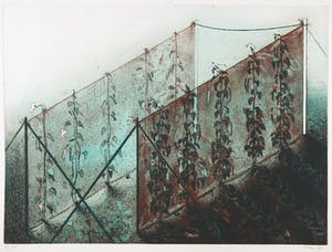 Arthur Stam - Ets en aquatint, Boontjes kopen? Bied vanaf 20!