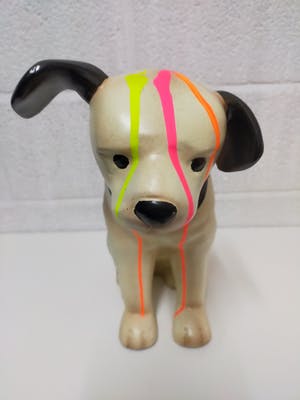 Hannes D'Haese - Dog/hond kopen? Bied vanaf 100!