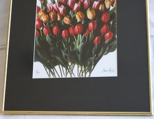 Paul Huf - Foto , Flowers : Gemengde Tulpen – gesigneerd & ingelijst - 1984 kopen? Bied vanaf 1!