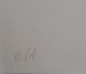 Jan Sierhuis - Tango - mooie zeefdruk van Jan Sierhuis kopen? Bied vanaf 85!