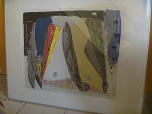 Piet Warffemius - afgeprijsd : Darjas Bird , genummerd en gesigneerd kopen? Bied vanaf 50!