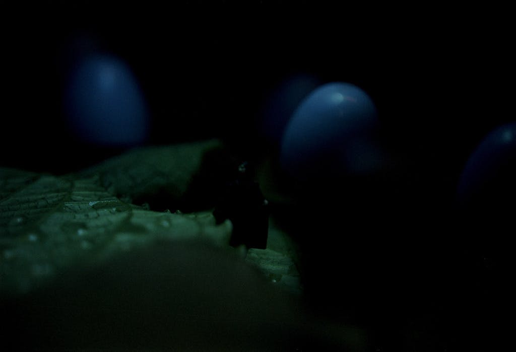 Ad van Riel - Ad van Riel - Mijn Mooie Wereld (8) 1-5 kopen? Bied vanaf 1!