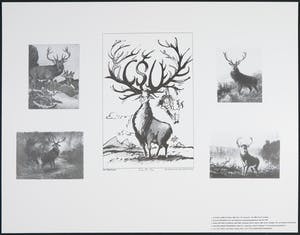 Martin Warnke - Ohne Titel, 1995 kopen? Bied vanaf 1!