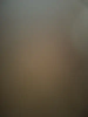 Kamagurka - Woodstock kopen? Bied vanaf 50!