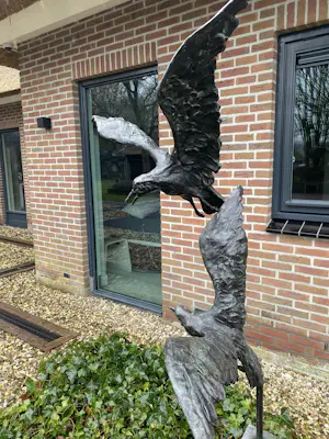 Jacqueline van der Laan - Twee meeuwen kopen? Bied vanaf 1200!