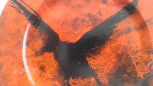 Royal Mosa - Dorine de Soet kopen? Bied vanaf 27!