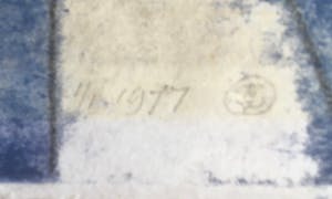 Reinier van de Voorde - Blue Platform kopen? Bied vanaf 30!