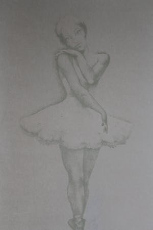 John Raedecker - Ballerina kopen? Bied vanaf 20!