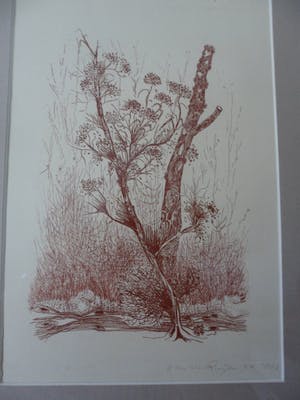 Kees de Ruijter - Ets, "Bloeiend tak" kopen? Bied vanaf 5!