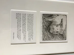 Han van Hagen - “ het varken” kopen? Bied vanaf 10!