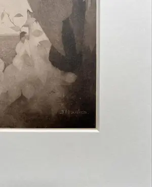 Jan Mankes - Originele Heliogravure Raaf in Berkenboom 1923 kopen? Bied vanaf 185!