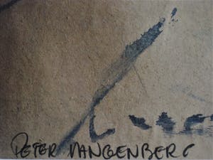 Peter Langenberg - Galerie ArtZaanstad - GROTE impress. Collage - gesigneerd - Galerieprijs 1200€ kopen? Bied vanaf 10!