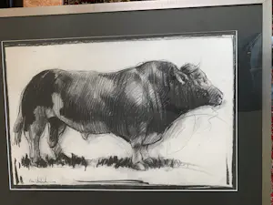 Nico Vrielink - Stier kopen? Bied vanaf 300!