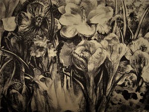 Aart van Dobbenburgh - Meester Graficus - Litho "Voorjaar - bloemenpracht" - potlood gesigneerd kopen? Bied vanaf 10!