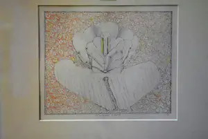 Co Westerik - Kleurenlitho: "Bloemornament" - 1987 (nette lijst!) kopen? Bied vanaf 225!