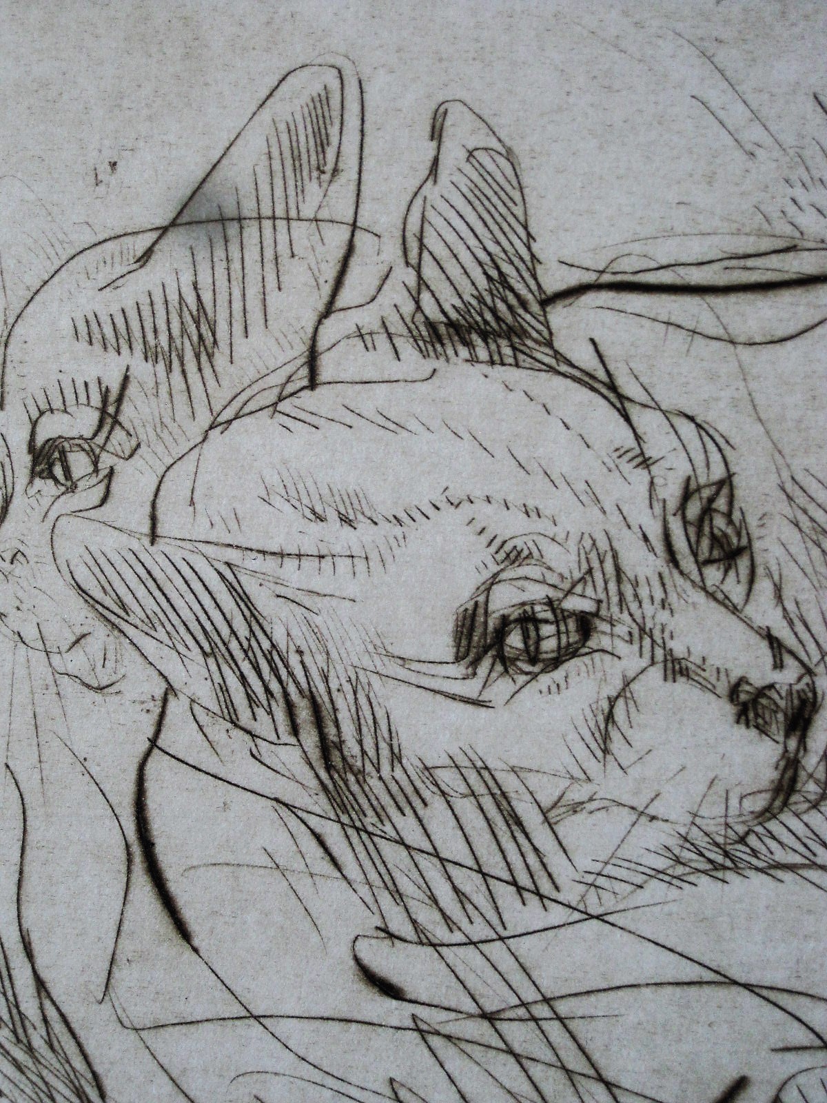 Frits van Eeden - zeldzame 1e staat ets "luierende poezen" gesigneerd  kopen? Bied vanaf 1!