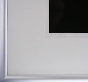 Bert Houweling - Roos 43 kopen? Bied vanaf 15!