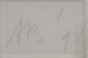 Ansuya Blom - Must remain still kopen? Bied vanaf 65!