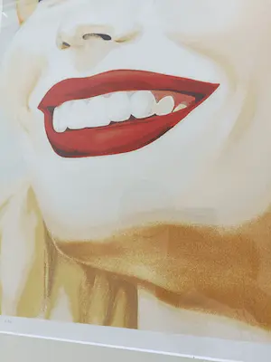 Jona Blom - Prodent Smile ! kopen? Bied vanaf 40!