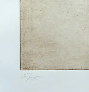 Ronald Tolman - Uit een jeugd, aquatint ets (groot, zeer kleine oplage) kopen? Bied vanaf 250!