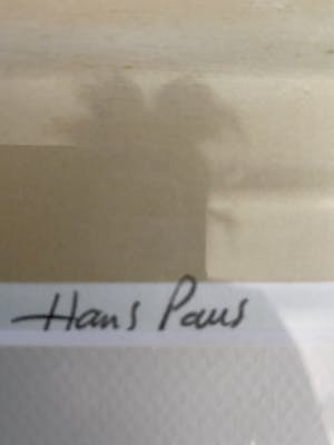 Hans Paus - Wasteland VI kopen? Bied vanaf 25!