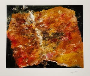 Armando - Das Buch kopen? Bied vanaf 140!