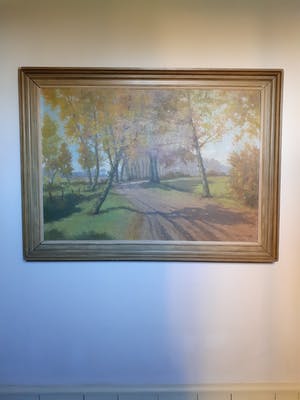 Jan Harm Oostendorp - Weg met bomen kopen? Bied vanaf 100!