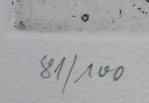 Wolfgang Petrick - Ets: Aufgetaucht - 1980 kopen? Bied vanaf 49!