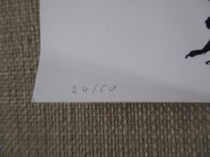 Henk Visch - Litho kopen? Bied vanaf 70!