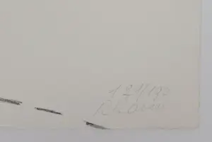 Roger Raveel - Kleurenlitho - 1976 kopen? Bied vanaf 895!