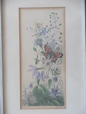 Antoon Hemert - vlinder (kleine vos) tussen de veldbloemen kopen? Bied vanaf 30!