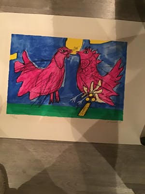 Corneille - Twee kippen ,hanen kopen? Bied vanaf 30!