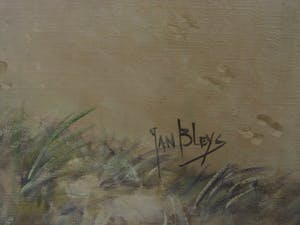 Jan Bleijs - GROOT en sfeervol impressionistisch olieverf "Kust en Duinlandschap" gesigneerd kopen? Bied vanaf 10!