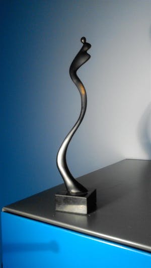 Corry Ammerlaan - voor Sanquin kopen? Bied vanaf 21!